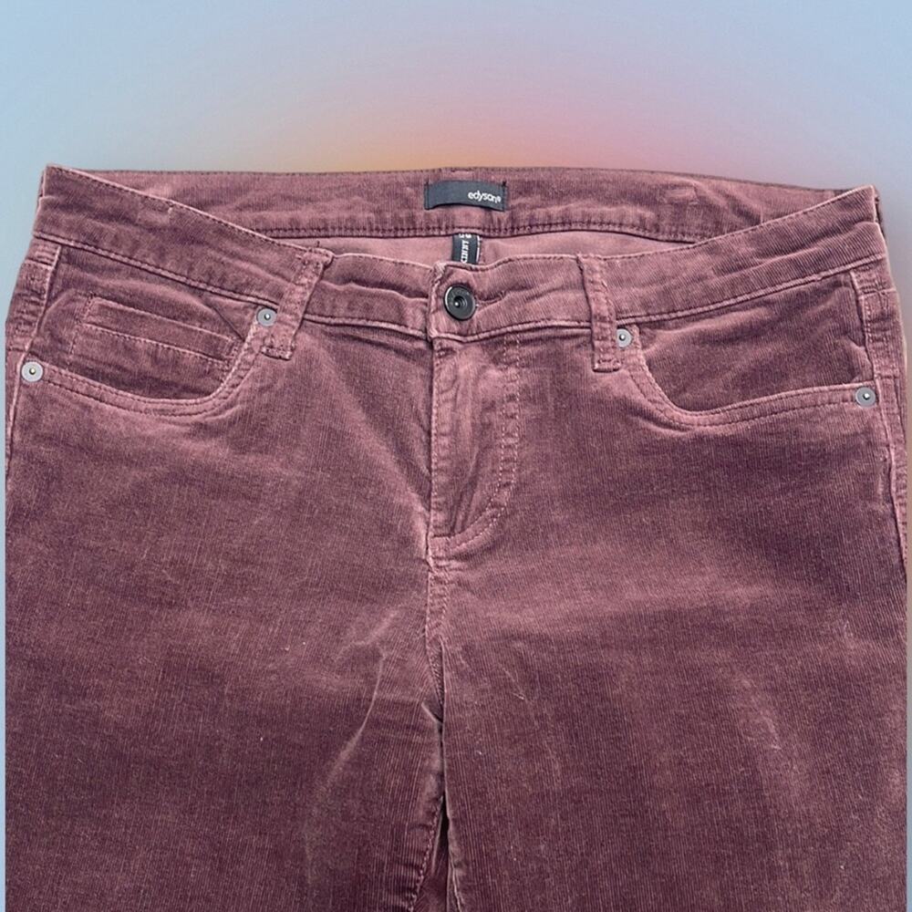 EDYSON Women’s 29 Purple Corduroy Skinny Jeans